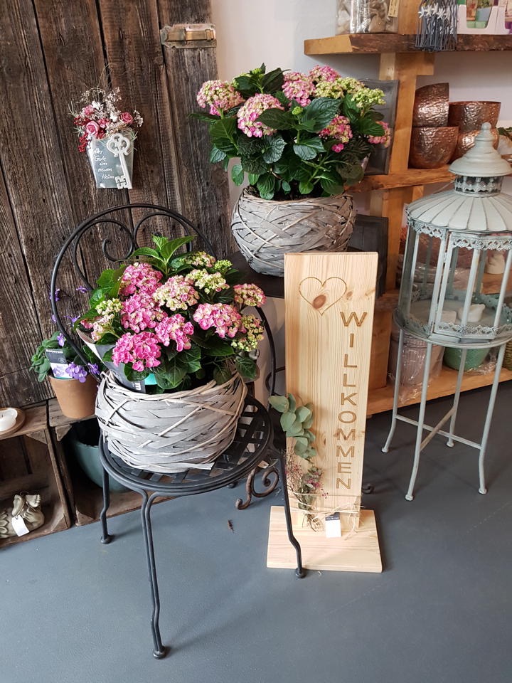 20190606_173819.jpg