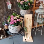 20190606_173819.jpg