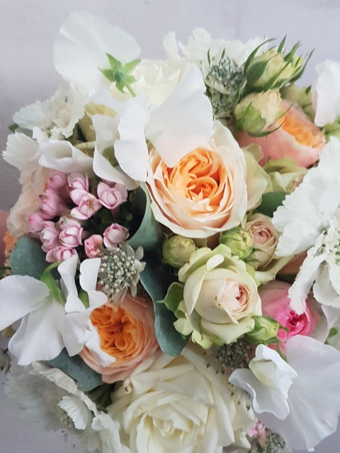 20180727_135314.jpg