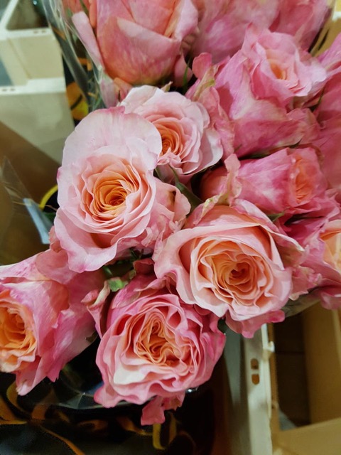 20181002_074803.jpg