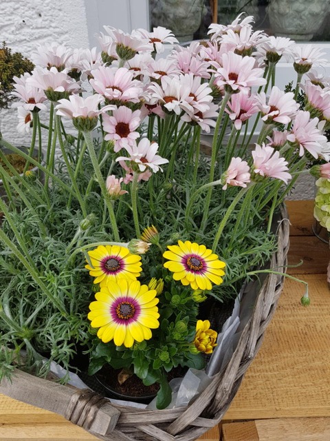 20180412_124814.jpg