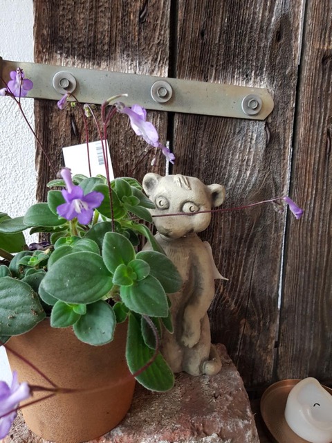 20190606_173846.jpg