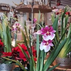 IMG-20181208-WA0001.jpg